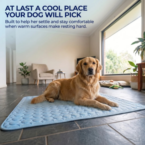 Pawlab Cooling Mat (Official Retailer) [year]